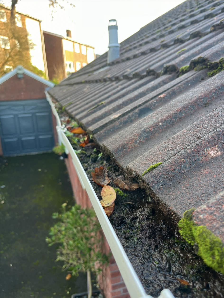 Gutter Cleaning - Before cleaning